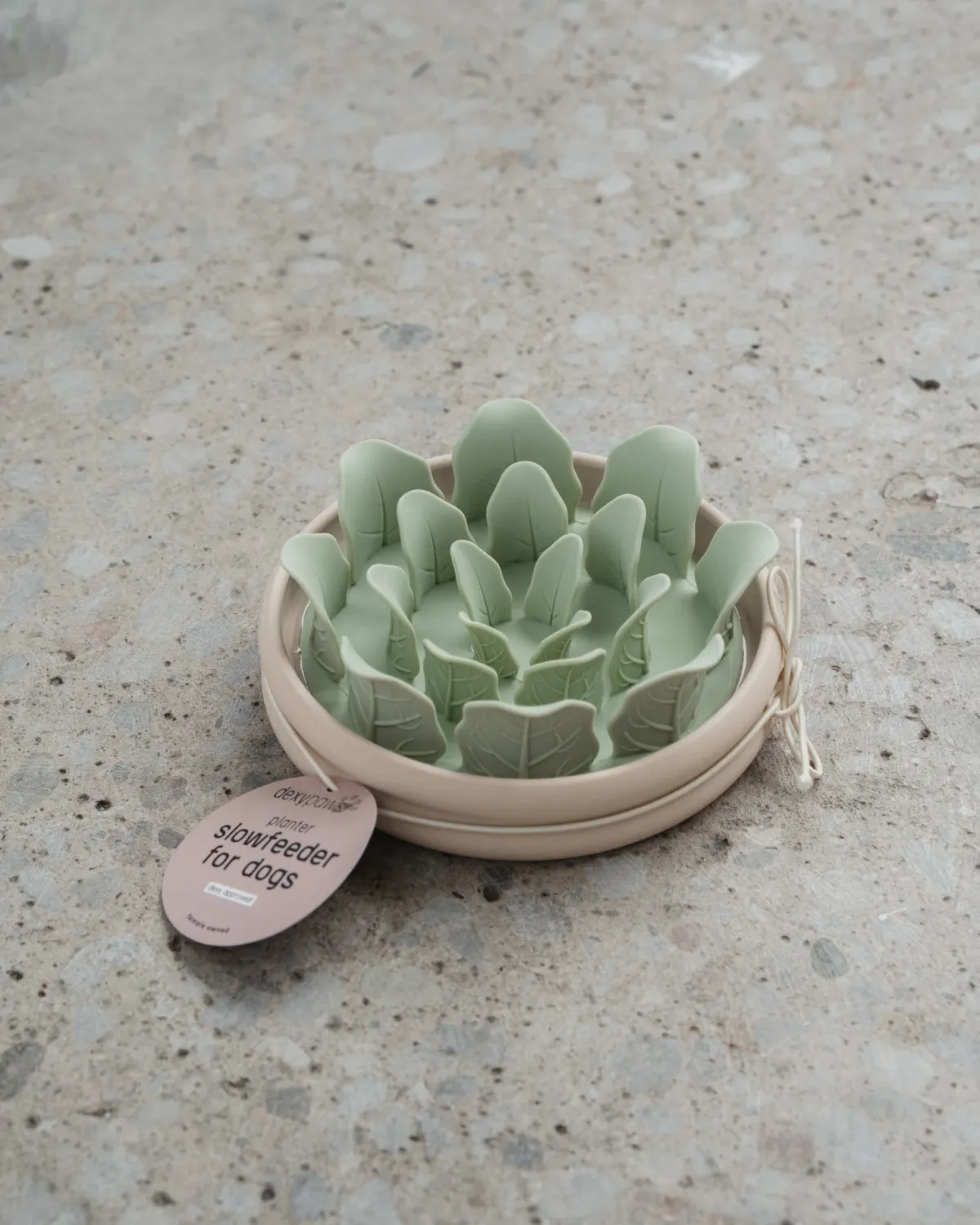 DEXYPAWS - Planter Slow Feeder, Capacity: 8oz