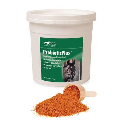 KPP - ProbioticPlus Intestinal Health Supplement