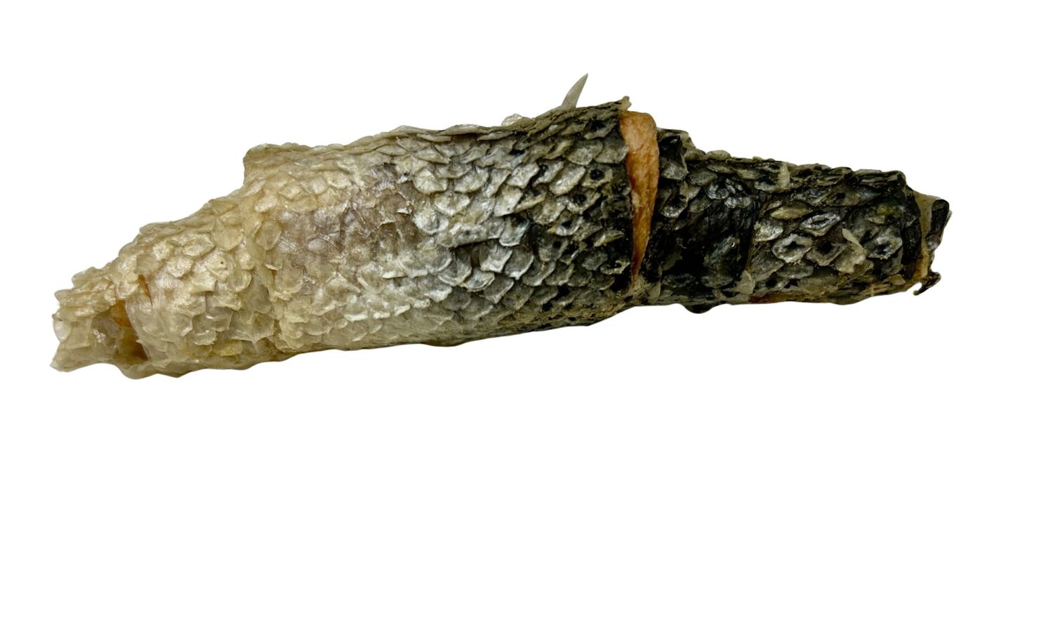 WAWWAW - Stuffed &amp; Freeze-Dried Salmon Skin, Sold as: Unit
