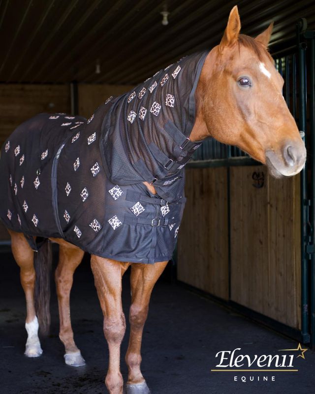 ELEVEN11 - MagnetXmotion Black Cheetah Magnetic Sheet