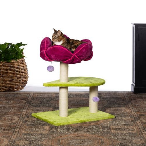 PREVUE HENDRYX - Flower Power Cat Tree, Height: 28-3/8''