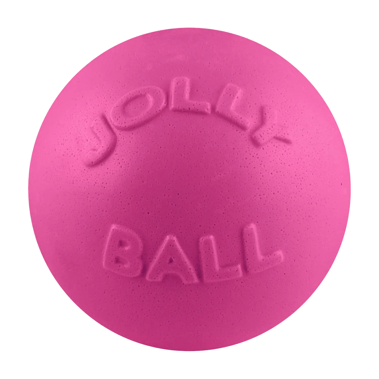 JOLLY PETS - 8'' Bounce-N-Play