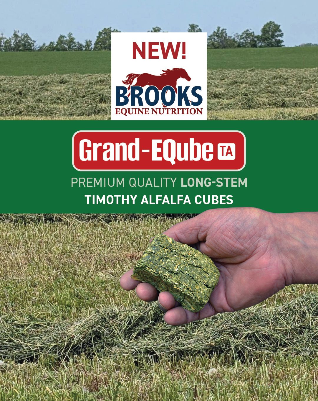 BROOKS EQUINE NUTRITION - Grand EQube Timothy Alfalfa Forage Cubes