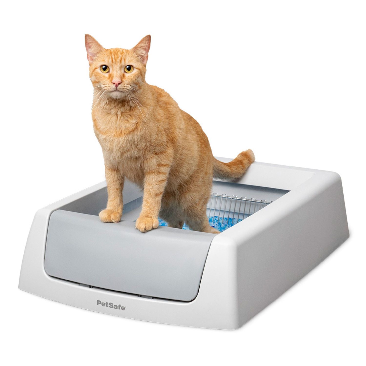 PETSAVE - ScoopFree Crystal Classic Self-Cleaning Litter Box, Type: Plateaux Jetables