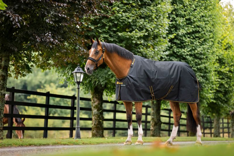 BUCAS - Turnout Rug Rainsheet 0g Black/Gold