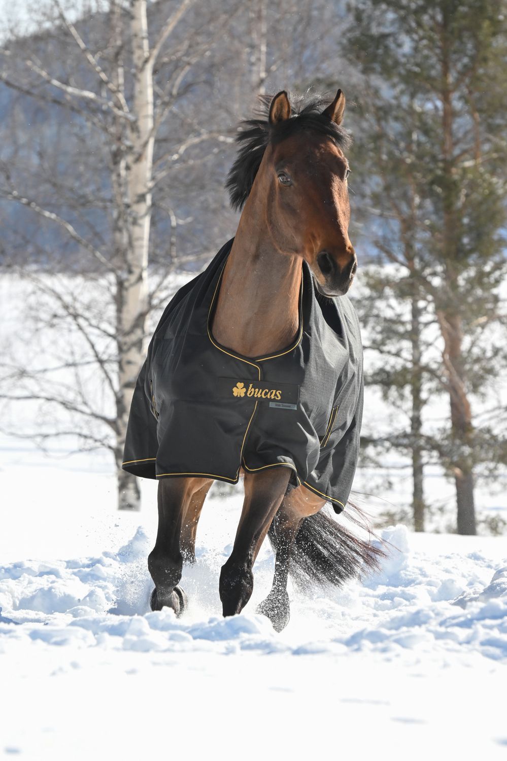 BUCAS -  Irish Turnout Rug 1200D 250g Black/Gold