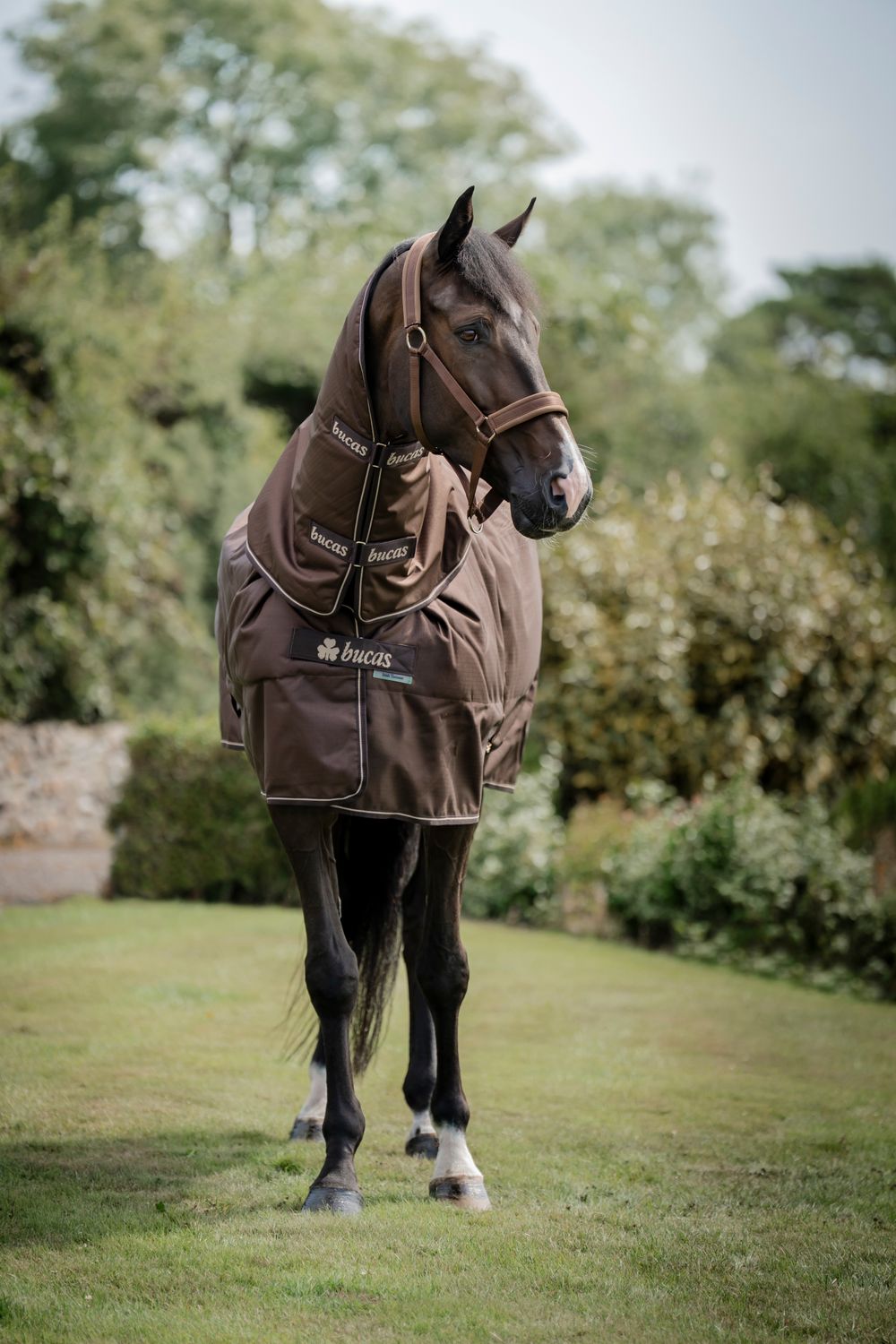 BUCAS - Irish Turnout Rug 300g avec Cou Espresso