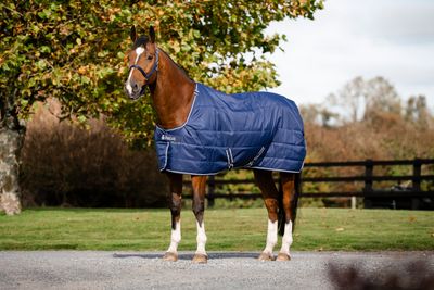 BUCAS - Stable Rug Quilt Silk Feel 300g Navy/Silver