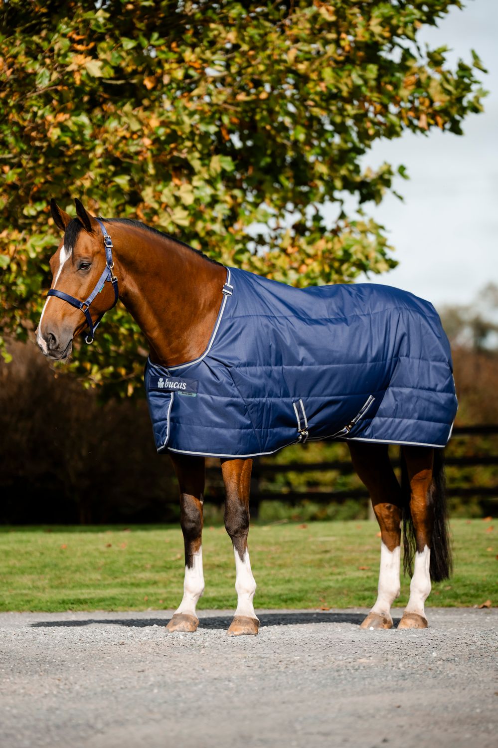 BUCAS - Stable Rug Quilt Silk Feel 150g Navy/Silver