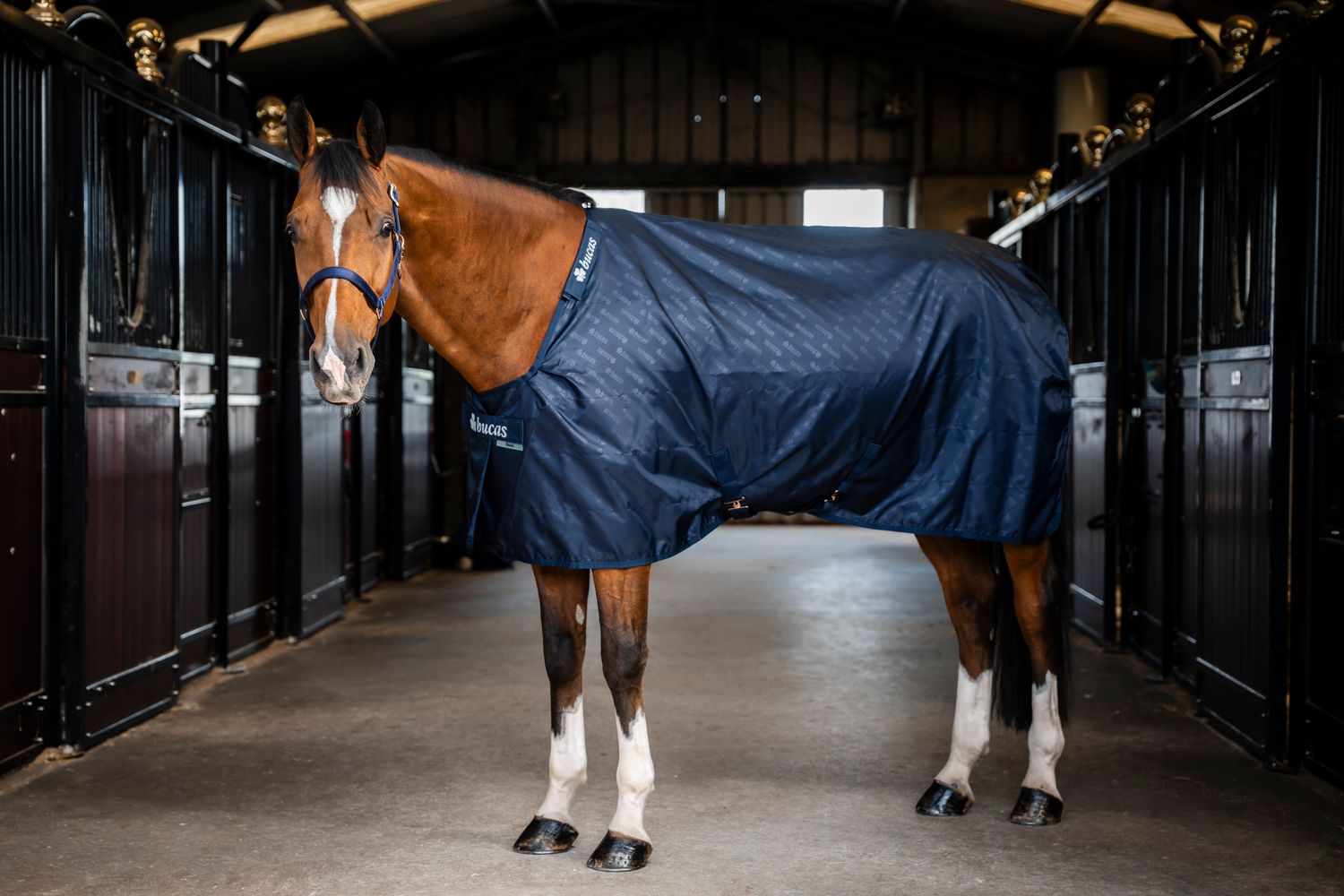 BUCAS - Stable Sheet Navy