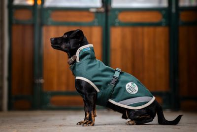 BUCAS - Greenline Dog Rug 50g