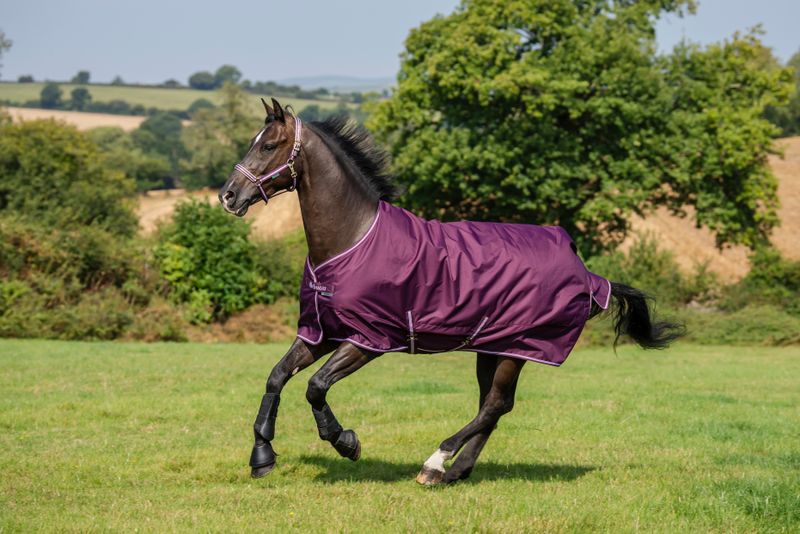BUCAS - Freedom Turnout Light Rug Blackberry