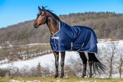 BUCAS - Freedom Turnout Rug 900D High Neck 150g Navy