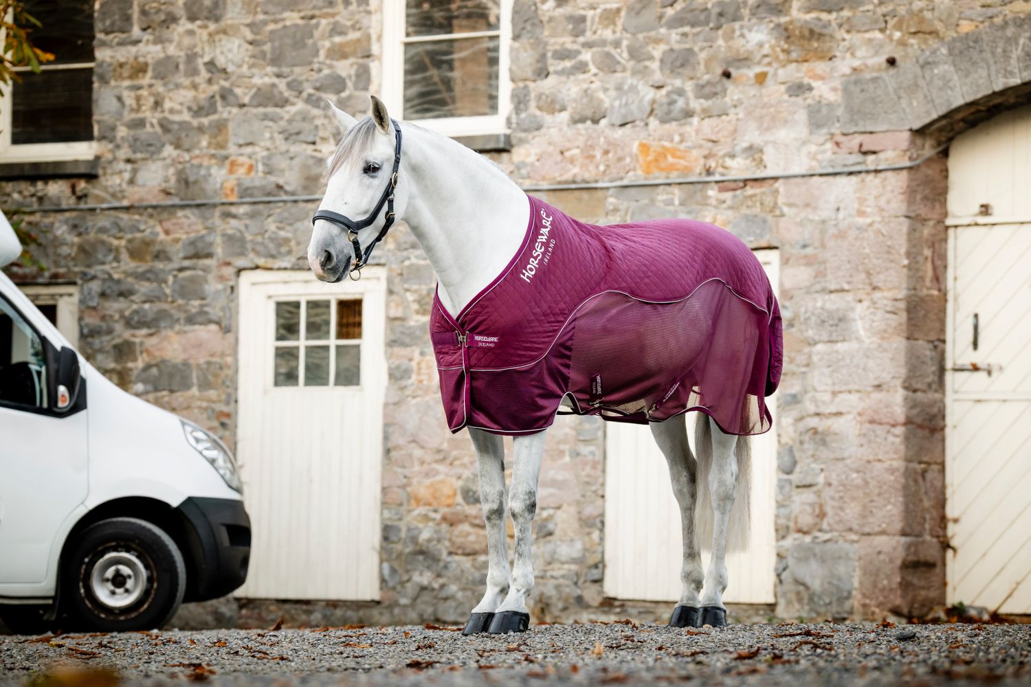 HORSEWARE - Signature Cooler Travel Burgundy