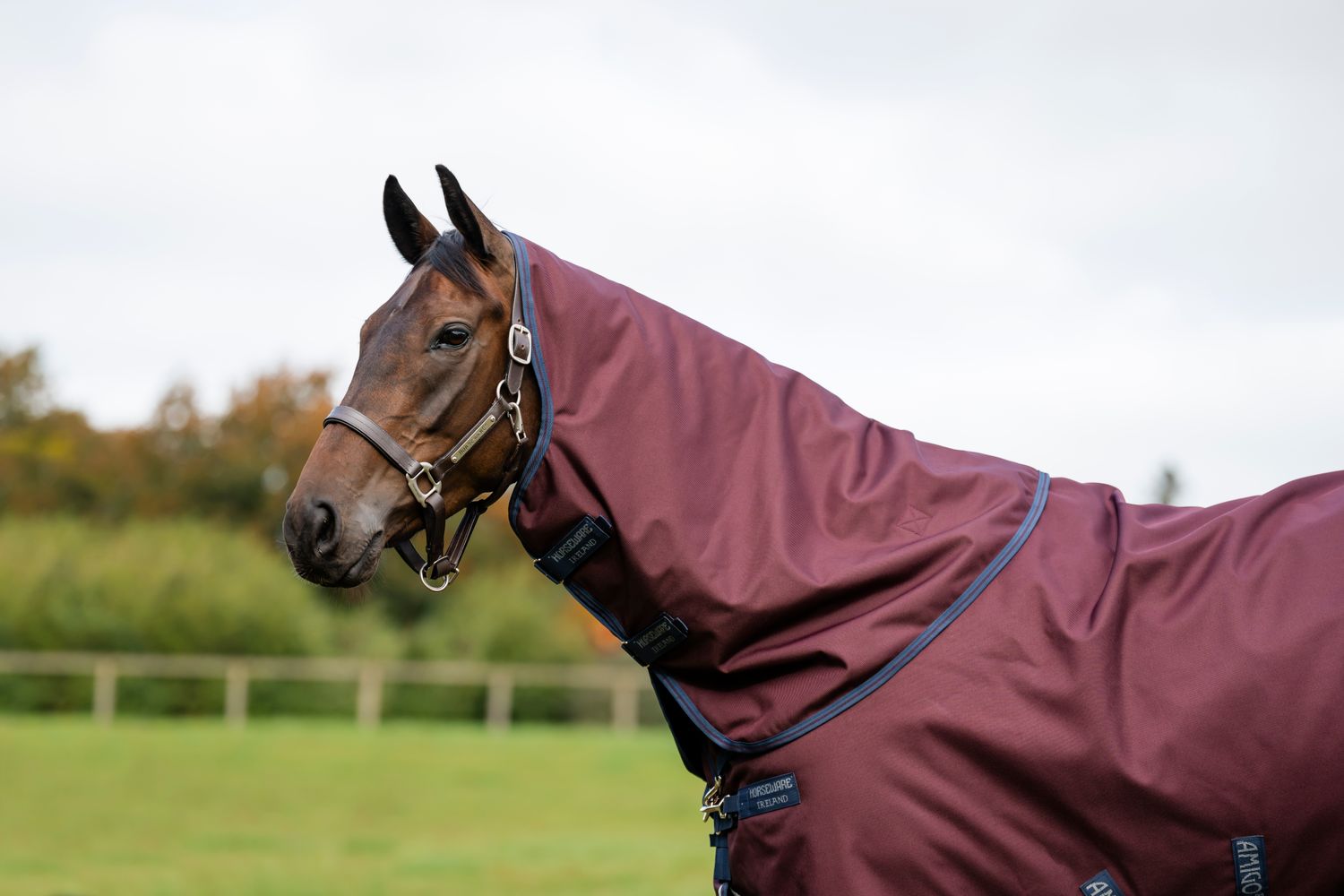 HORSEWARE - Amigo 1200D Turnout Hood 0g Burgundy/Navy &amp; Titanium Grey