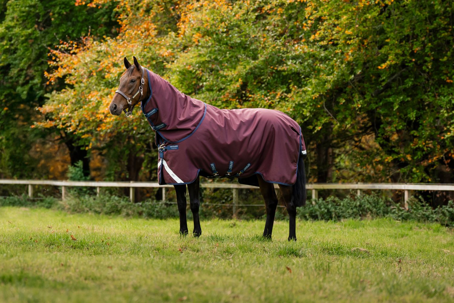 HORSEWARE - Amigo Bravo 12 Plus Turnout 250g