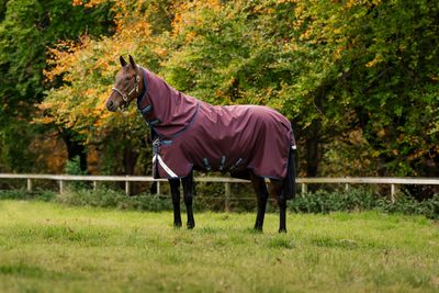 HORSEWARE - Amigo Bravo 12 Plus Turnout 250g