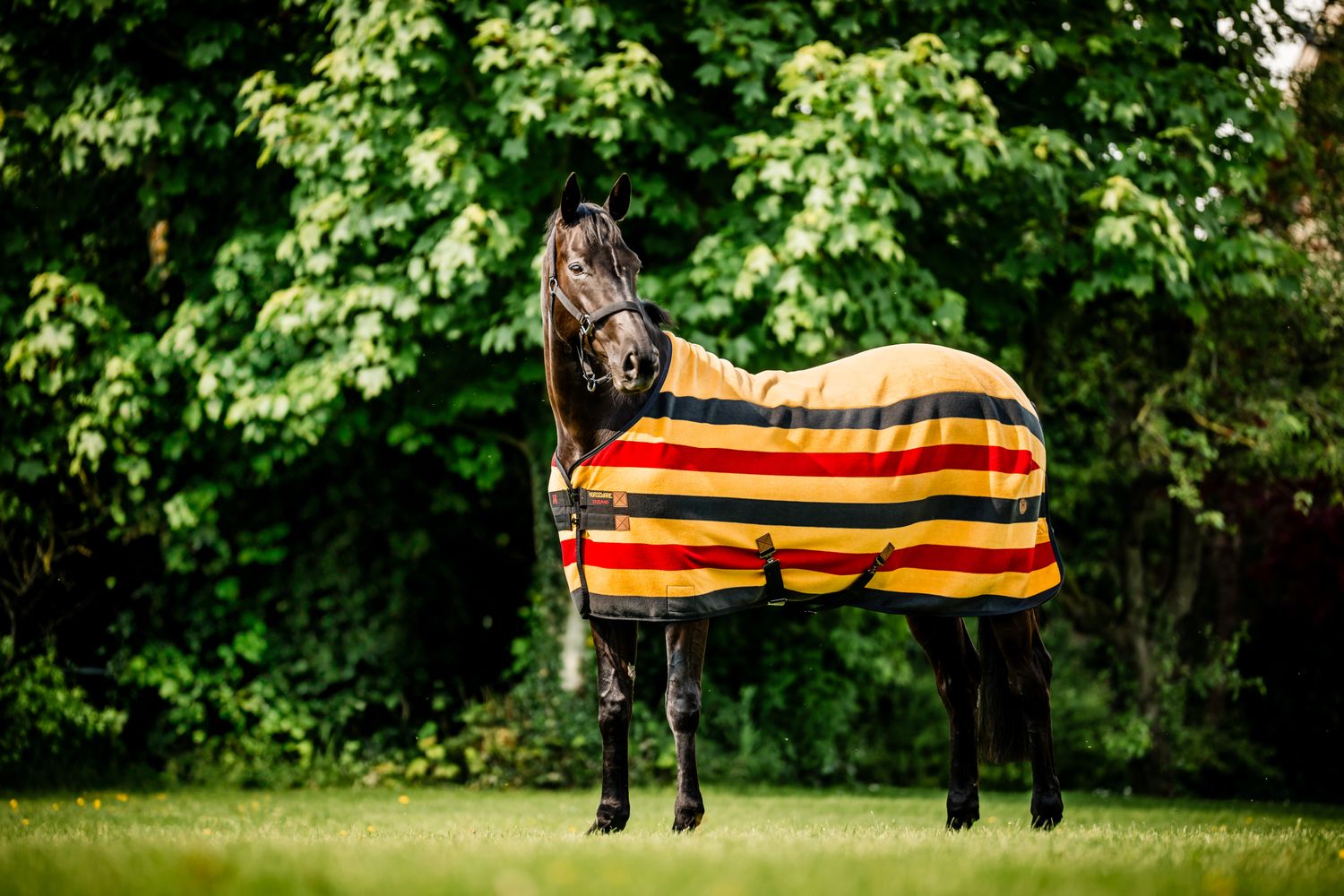 HORSEWARE - Newmarket Fleece Cooler Witney Stripes Gold