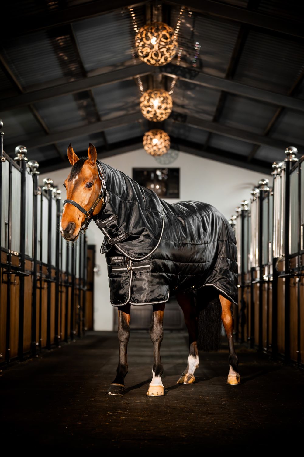 HORSEWARE - Easy-Layer Stable Plus 400g Black/Black &amp; Silver