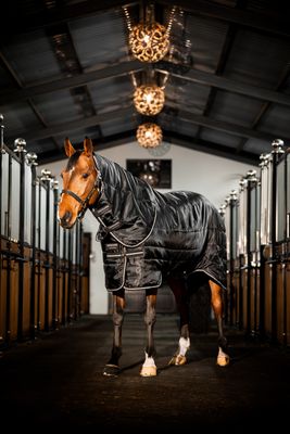 HORSEWARE - Easy-Layer Stable Plus 400g Black/Black &amp; Silver