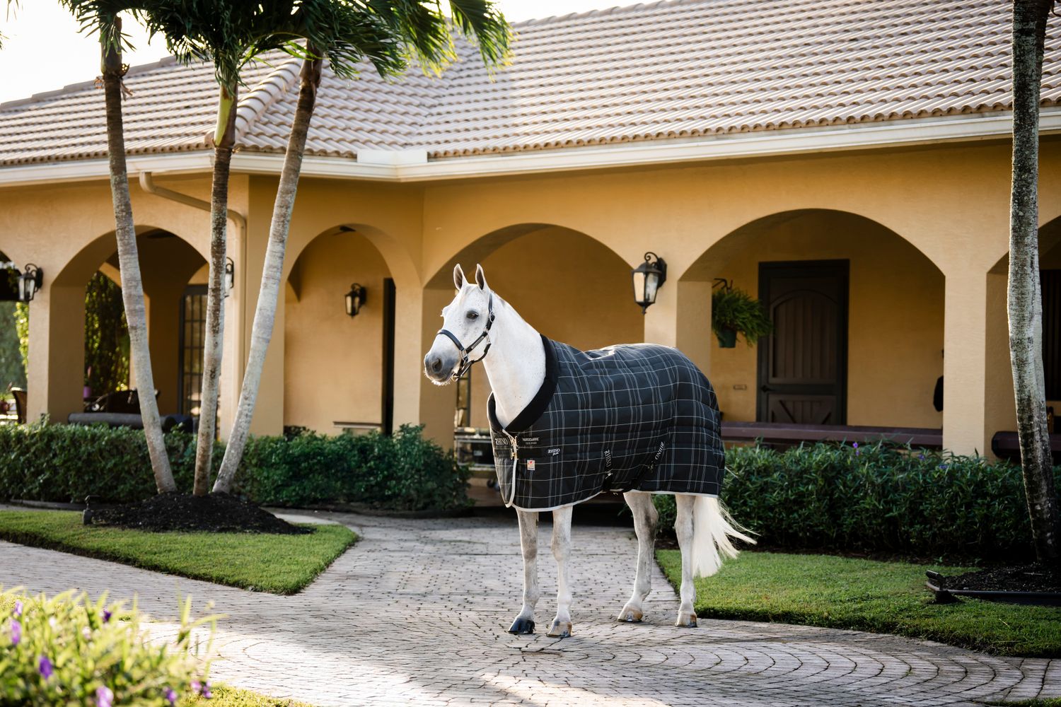 HORSEWARE - Rhino Stable 100g Black/Grey/White Chk &amp; Gray