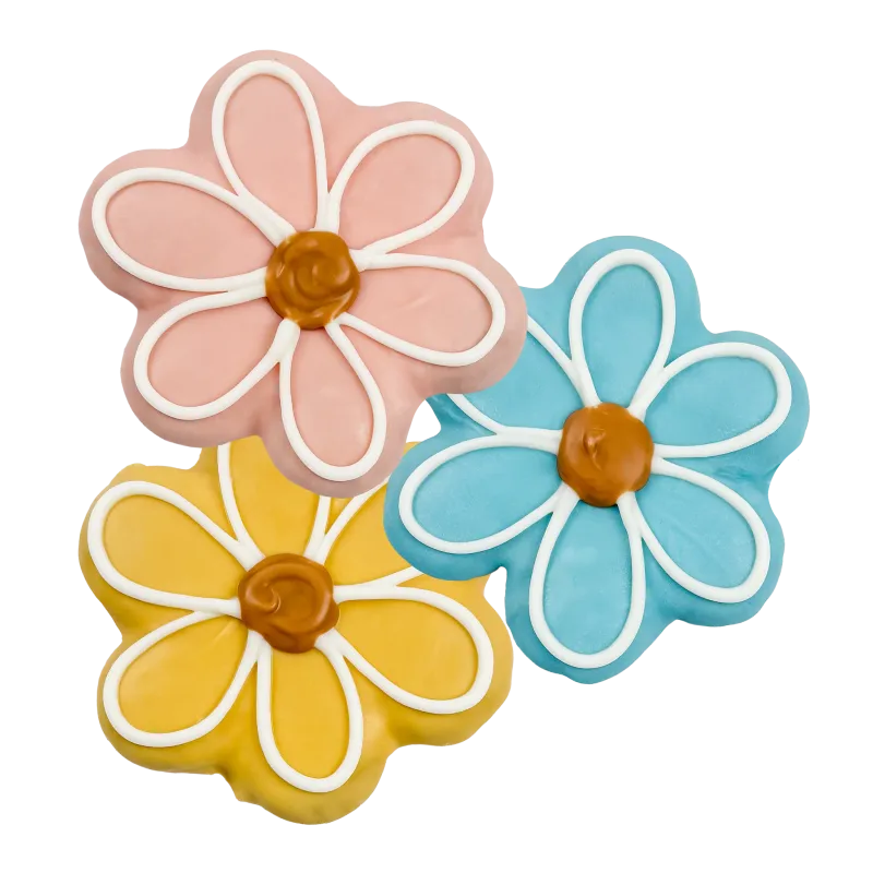 BOSCO &amp; ROXY'S - Sprout &amp; Shout ! Smile Into Spring Handmade Cookie