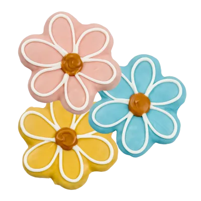 BOSCO &amp; ROXY'S - Sprout &amp; Shout ! Smile Into Spring Handmade Cookie