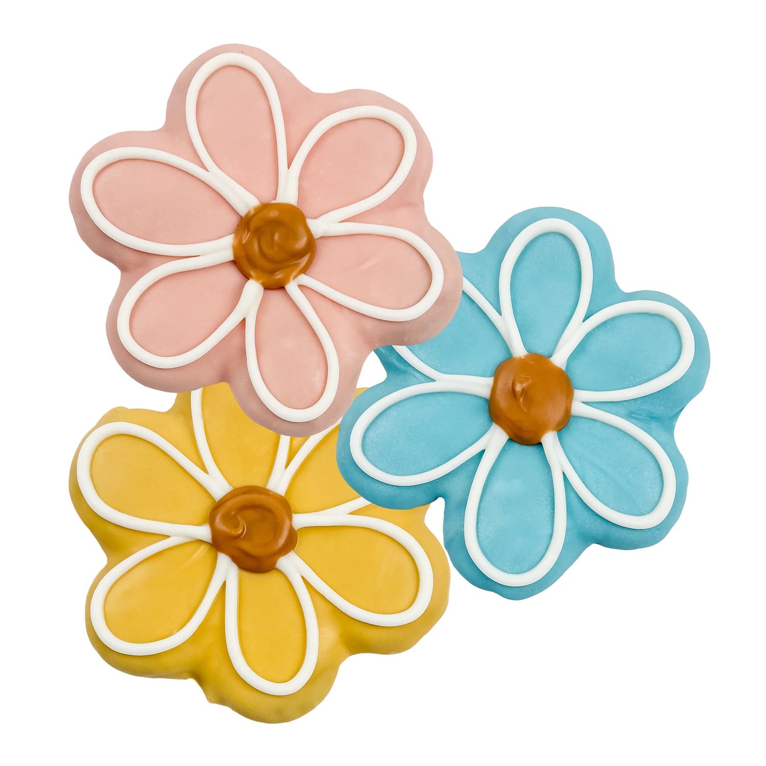 BOSCO &amp; ROXY'S - Sprout &amp; Shout ! Smile Into Spring Handmade Cookie, Colour: Assortis