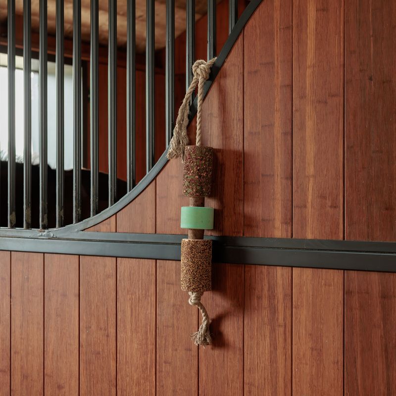 KENTUCKY HORSEWEAR - Wooden Relax Horse Toy with Salt Lick