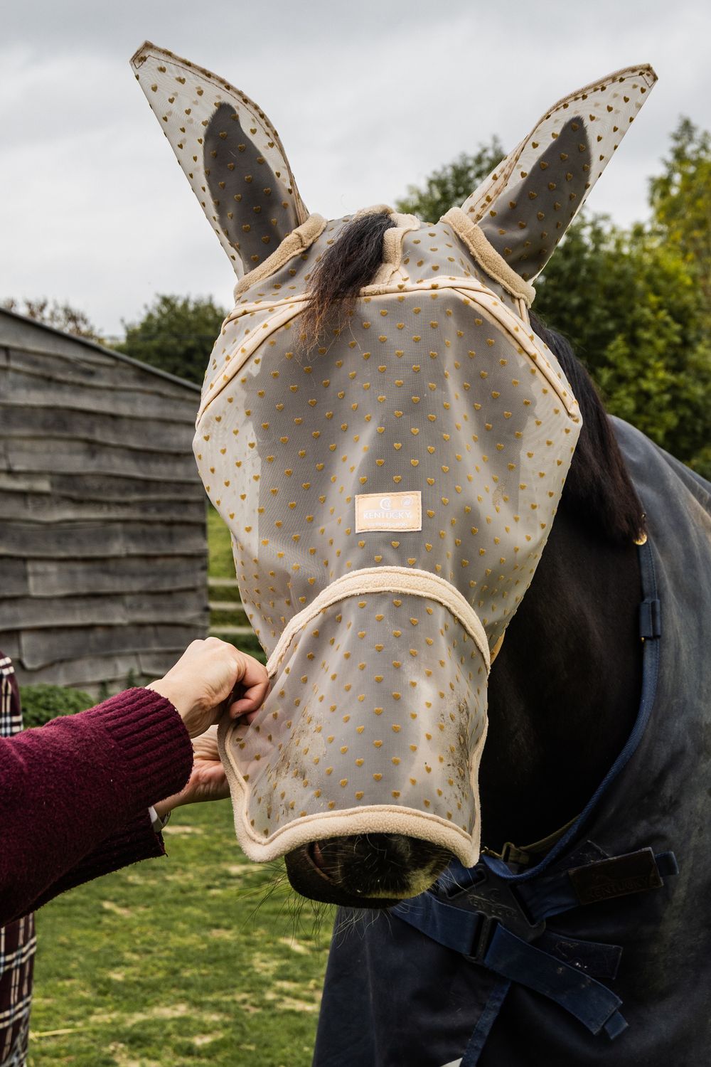 KENTUCKY HORSEWEAR - Fly Mask Heart Ears &amp; Nose Beige