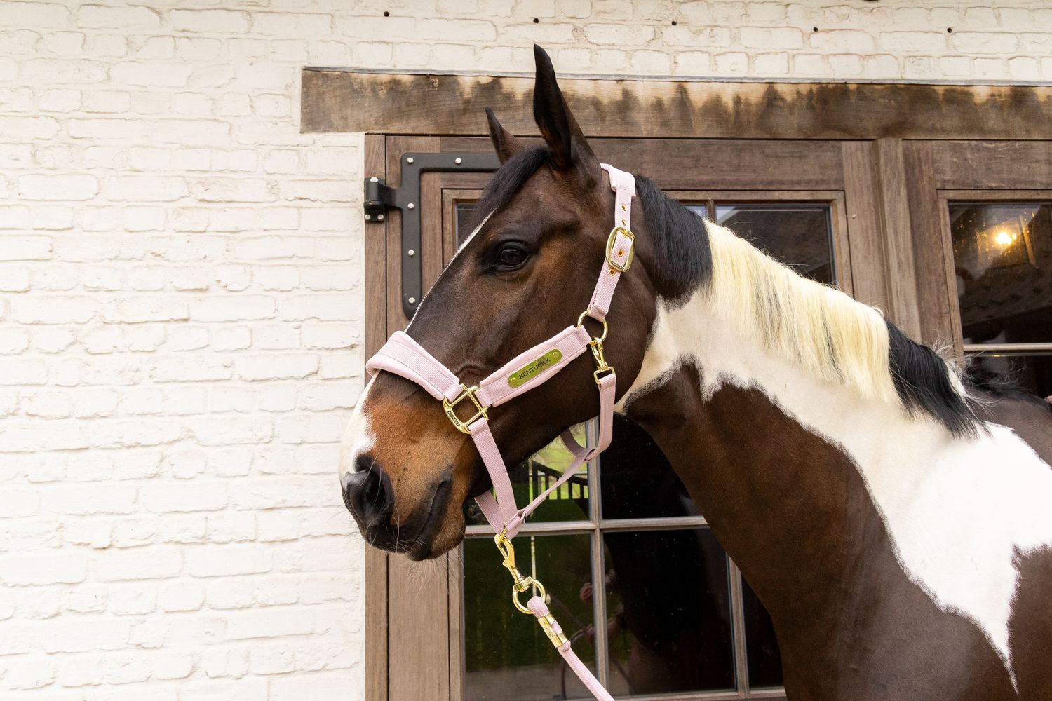 KENTUCKY HORSEWEAR - Velvet Halter Soft Rose