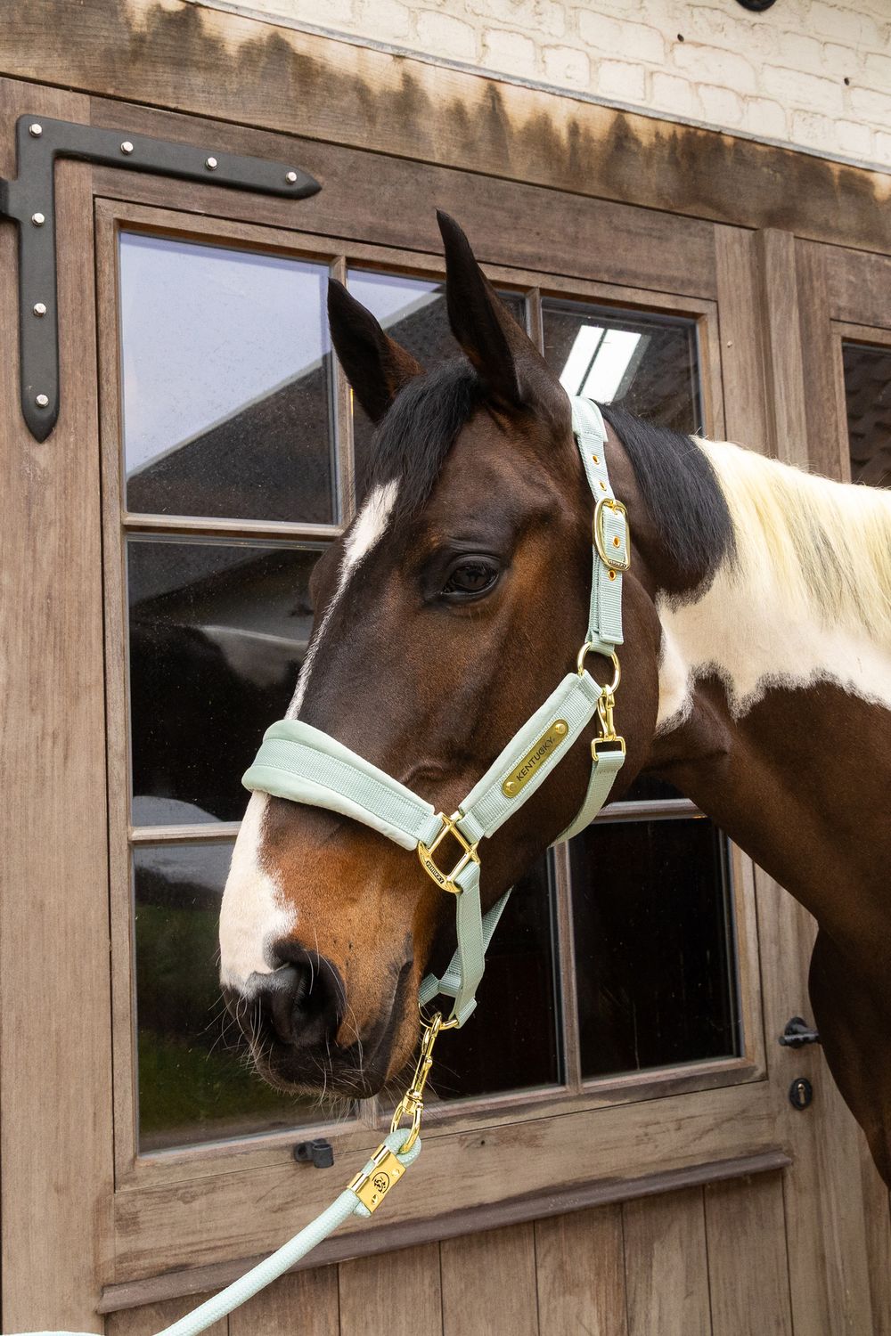KENTUCKY HORSEWEAR - Velvet Halter Mint