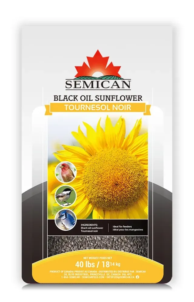 MASKA SELECT - Black Oil Sunflower Seed