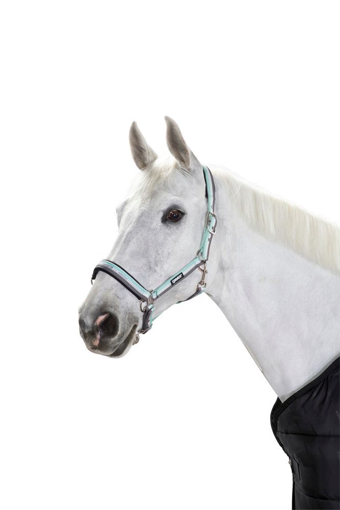 ESKADRON - Halter Pin Buckle Core Ice/White/Stone