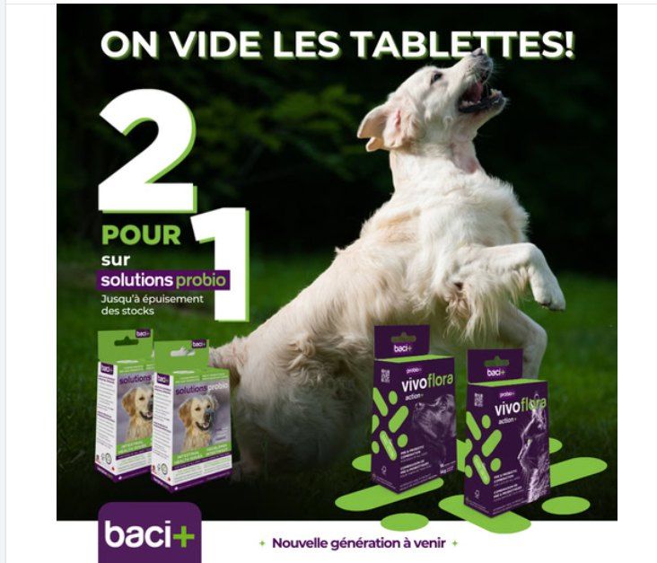 BACI+ - Probio+ VivoFlora Pre &amp; Probiotics Action+ Gut Health, Size: 14g (14 sachets x 1g)