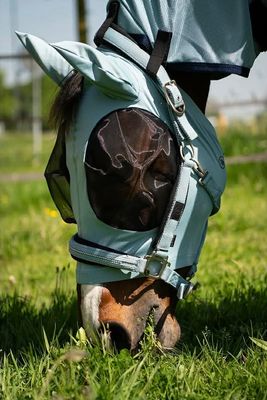 BR EQUESTRIAN - BR Fly Mask Lycra Tourmaline