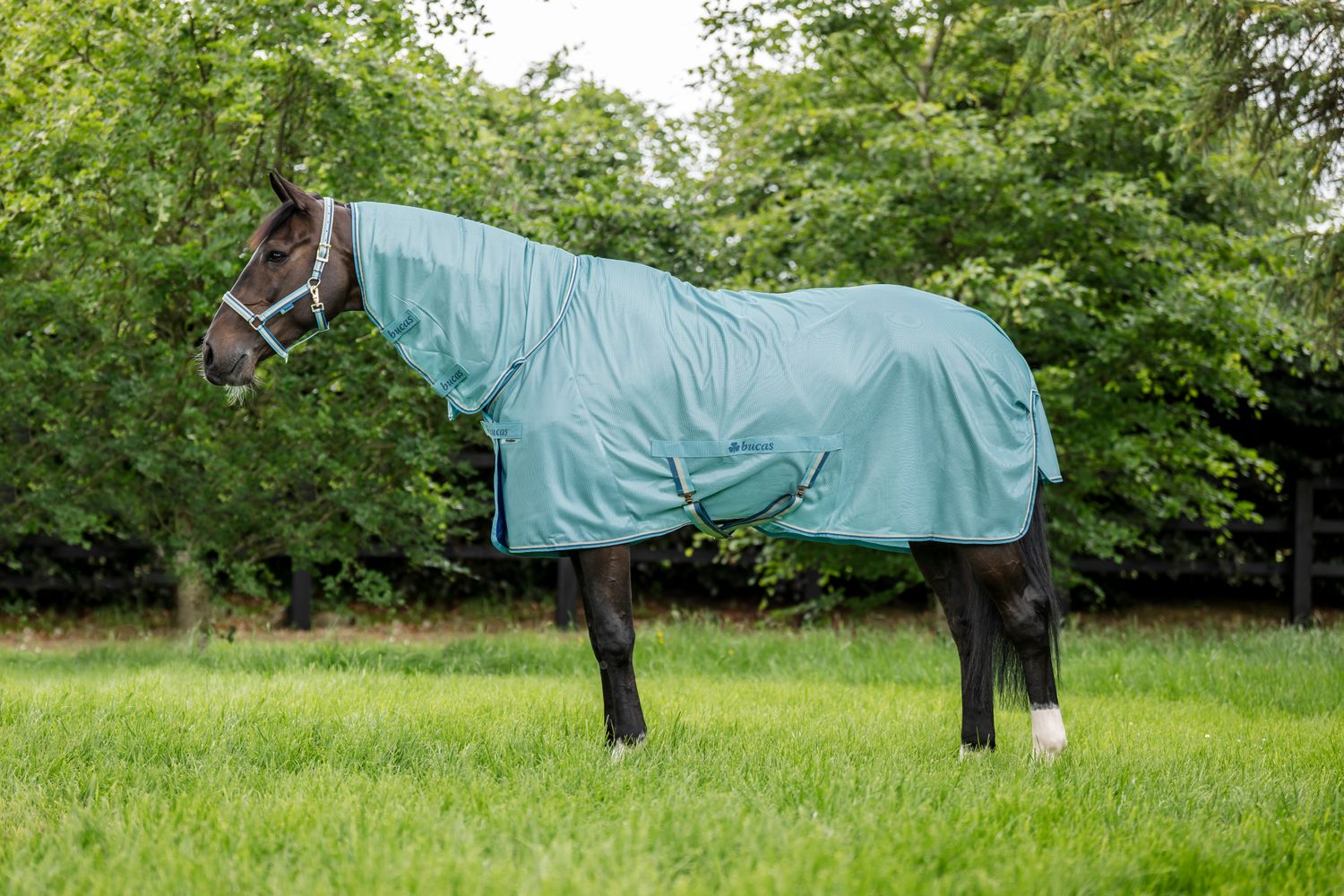 BUCAS - Fly Sheet Freedom Turquoise