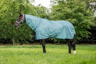 BUCAS - Fly Sheet Freedom Turquoise