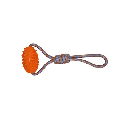 BUD'Z - Football with Handle Floating Rope