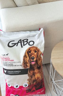 GABO - All Breed Adult Dog Food Chicken Formula