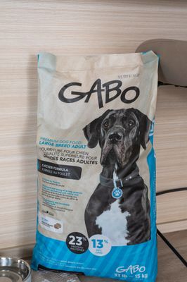 GABO - Large Breed Adult Dog Food Chicken Formula