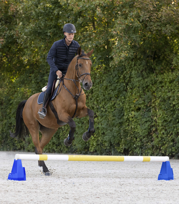 WALDHAUSEN - Cavaletti Block Blue