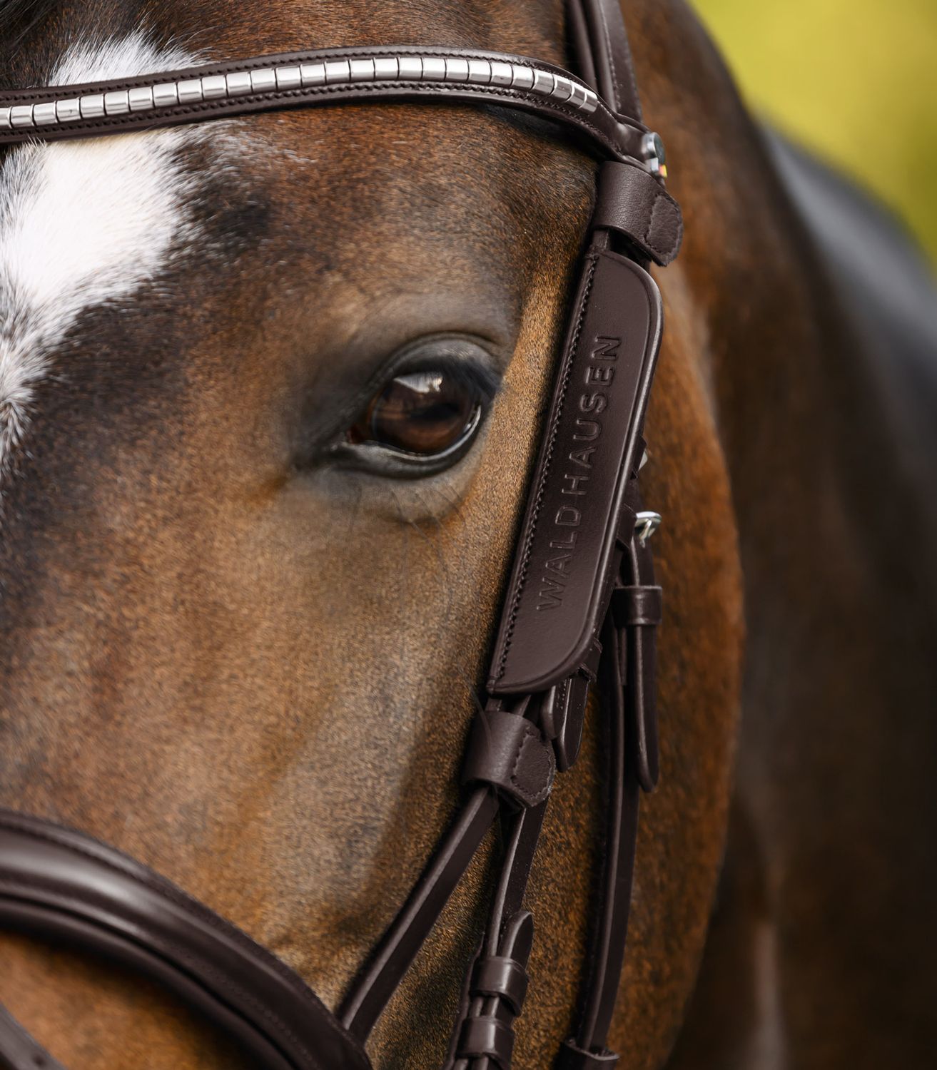 WALDHAUSEN - Leather Blinkers Havana