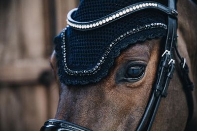 KENTUCKY HORSEWEAR - Fly Bonnet Wellington Stone &amp; Pearl Black
