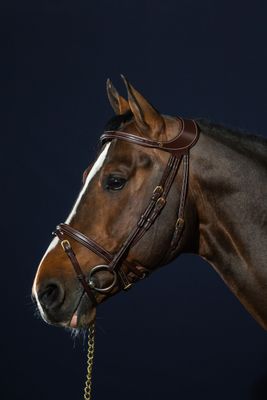 DY'ON - Bridle Difference DY Collection