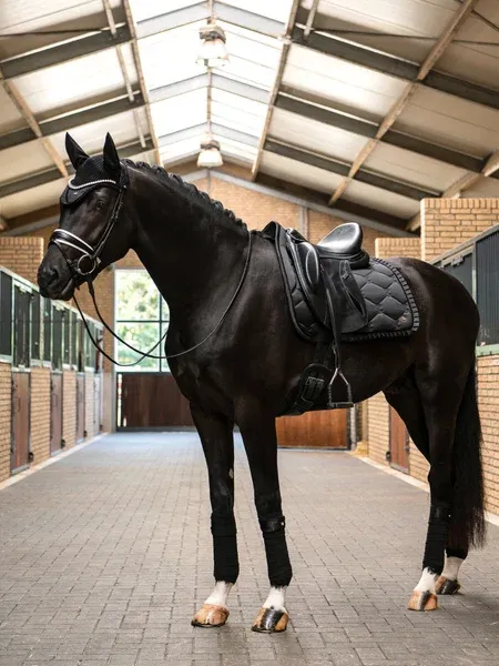 PS FO SWEDEN - Saddle Pad Dressage Ruffle Black