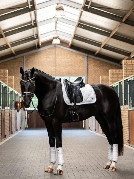 PS OF SWEDEN - Saddle Pad Dressage Ruffle White