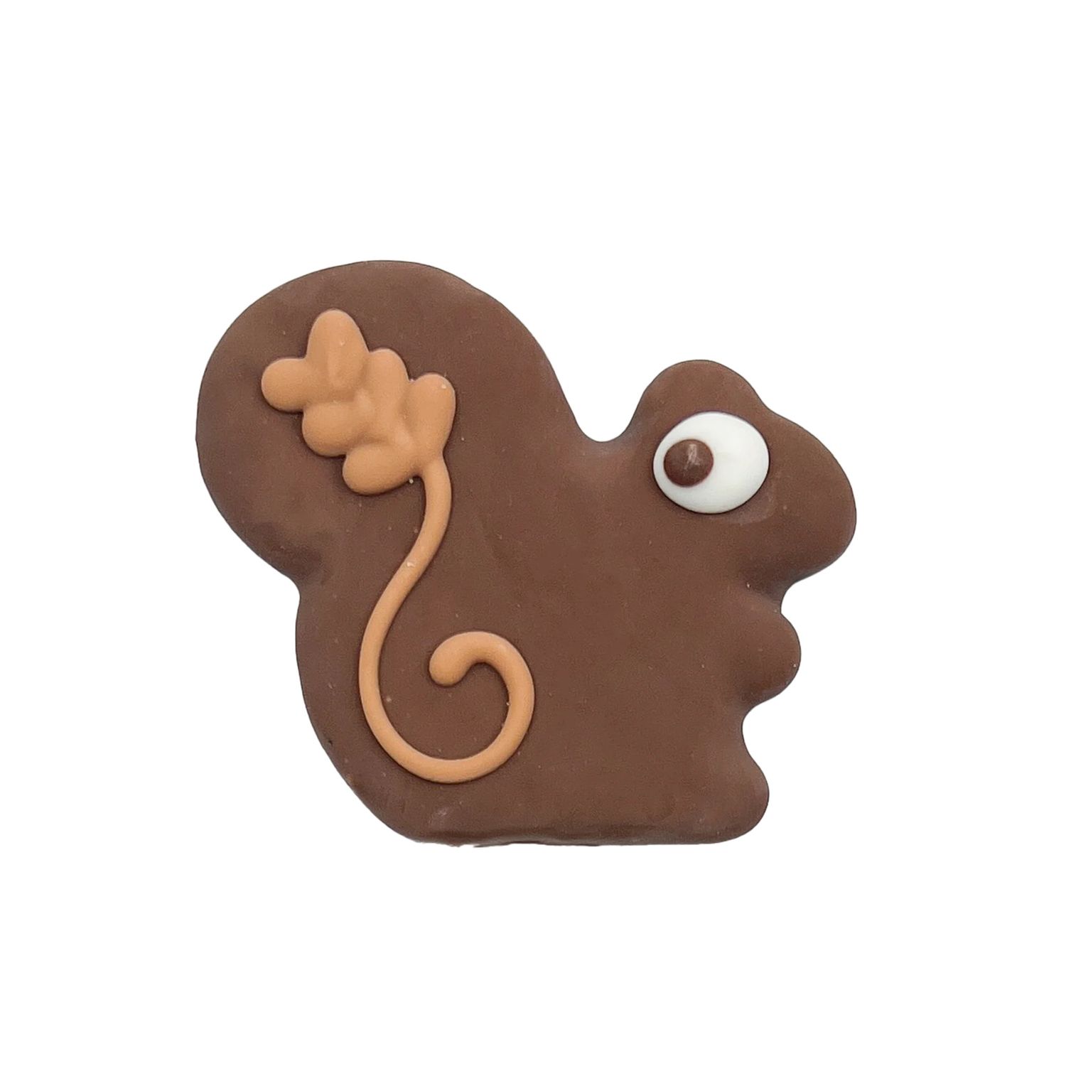 BOSCO &amp; ROXY'S - Canine Classics Everyday PQD Handmade Cookie Box, Type: Feeling Squirrely