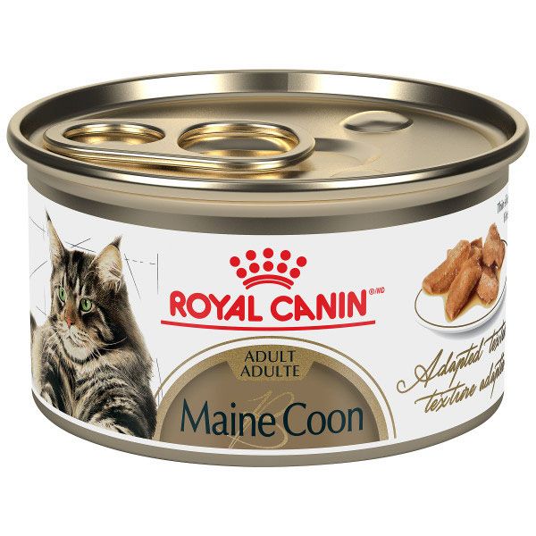 ROYAL CANIN - Maine Coon Adult Thin Slices in Gravy Canned Cat Food, Size: 85g