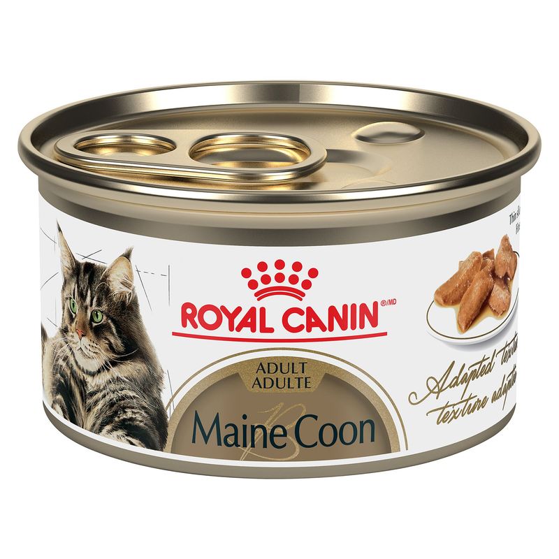 ROYAL CANIN - Maine Coon Adult Thin Slices in Gravy Canned Cat Food